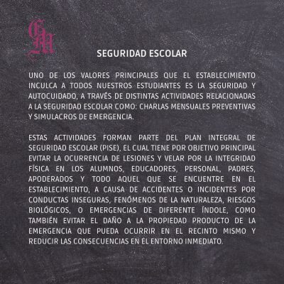 seguridad escolar 2